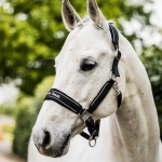 Back On Track Werano Halter / Headcollar